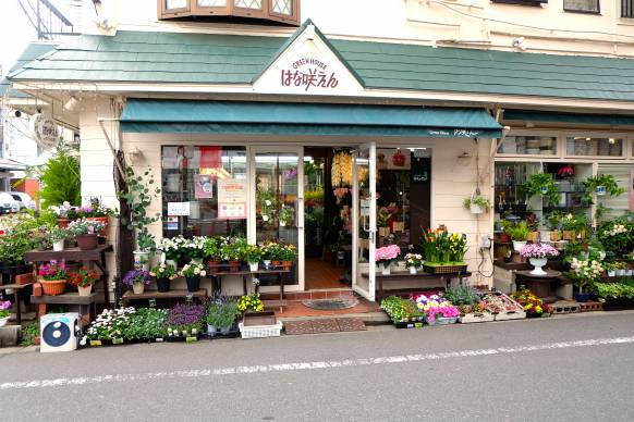 「ＧＲＥＥＮ　ＨＯＵＳＥはな咲えん」　（東京都豊島区）の花屋店舗写真1