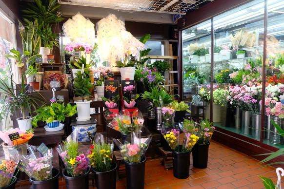 「ＧＲＥＥＮ　ＨＯＵＳＥはな咲えん」　（東京都豊島区）の花屋店舗写真2